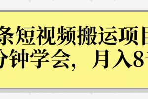 操作性非常强的头条号短视频搬运项目，3分钟学会，轻松月入8000+