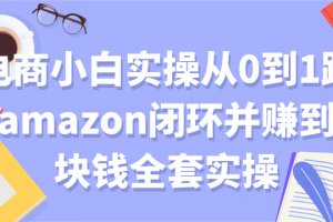 电商小白实操从0到1跑通amazon闭环并赚到一块钱全套实操【付费文章】