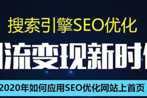 SEO搜索引擎优化总监实战VIP课堂【透析2020最新案例】快速实现年新30W