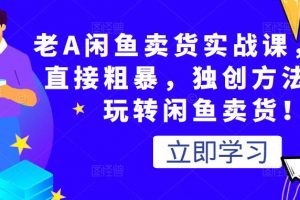 老A闲鱼卖货实战课，简单直接粗暴，独创方法带你玩转闲鱼卖货！