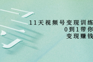 11天视频号变现训练营，从0到1打造变现赚钱系统（价值398元）