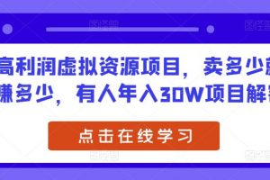 高利润虚拟资源项目，卖多少就赚多少，有人年入30W项目解密