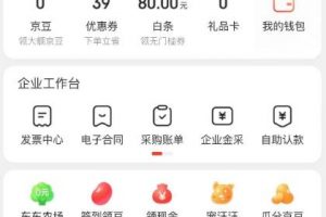 外面最高收费到3980的京东撸货项目，号称日产300+的项目（详细玩法视频教程）