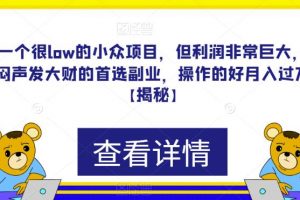 一个很low的小众项目，但利润非常巨大，闷声发大财的首选副业，操作的好月入过万【揭秘】