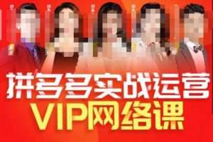 推易拼多多VIP全套直播课程，拼多多店铺实操玩法+实战玩法选款内功+直通车高阶等