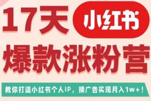 17天小红书爆款涨粉营（广告变现方向），教你打造小红书博主IP、接广告变现的