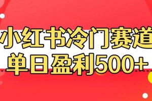 小红书冷门赛道，单日盈利500+【揭秘】