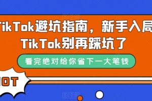 TikTok避坑指南，新手入局TikTok别再踩坑了