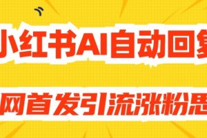 【原创开发】小红书AI自动回复，全网首发引流涨粉思路