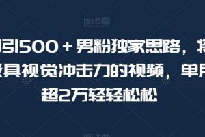 暴力日引500＋男粉独家思路，将美女做成极具视觉冲击力的视频，单月盈利超2万轻轻松松