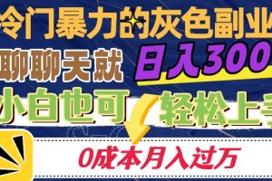 冷门暴利的副业项目，聊聊天就能日入300+，0成本月入过万【揭秘】