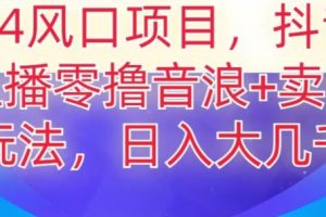 2024风口项目，抖音无人主播撸音浪+卖课程玩法，日入大几千【揭秘】