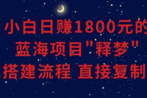 小白能日赚1800元的蓝海项目”释梦”0-1搭建流程可直接复制粘贴长期做【揭秘】