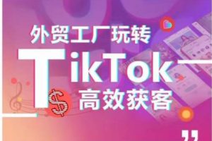 外贸工厂玩转TikTok高效获客，多种引流方式与账号定位技巧，拆解爆款短视频打造成功案例