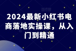 2024最新小红书电商落地实操课，从入门到精通