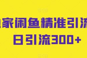 独家闲鱼精准引流，日引流300+【揭秘】