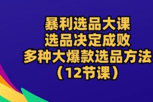 暴利选品大课：选品决定成败，教你多种大爆款选品方法(12节课)