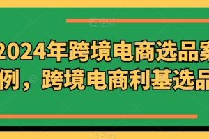 2024年跨境电商选品案例，跨境电商利基选品（更新）