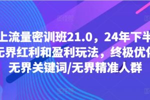 线上流量密训班21.0，24年下半年-无界红利和盈利玩法，终极优化/无界关键词/无界精准人群