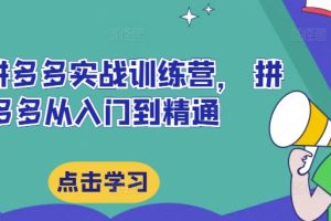 最新拼多多实战训练营， 拼多多从入门到精通