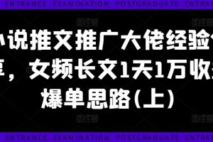 小说推文推广大佬经验分享，女频长文1天1万收益爆单思路(上)